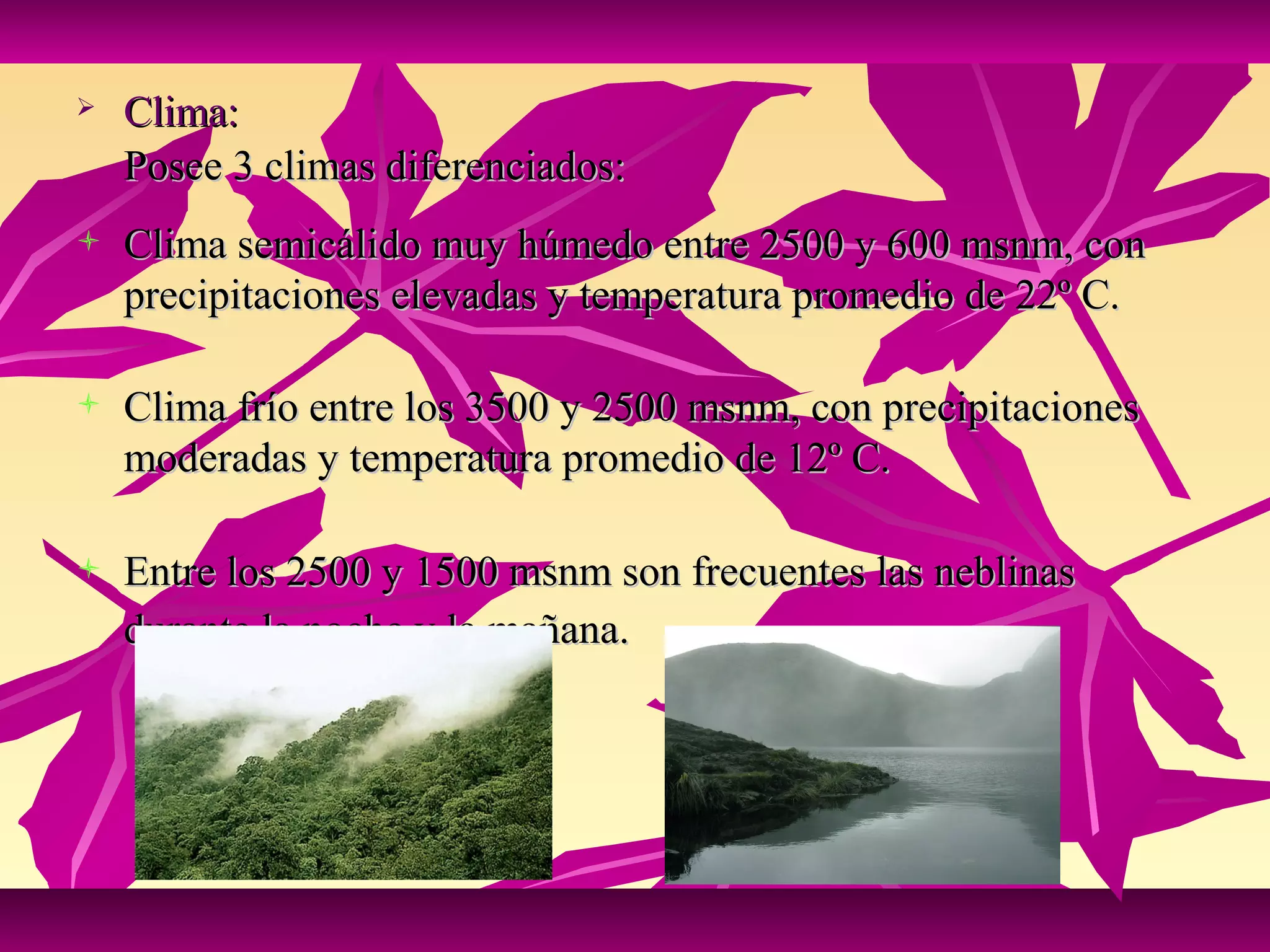    Clima:
    Posee 3 climas diferenciados:
   Clima semicálido muy húmedo entre 2500 y 600 msnm, con
    precipitaciones elevadas y temperatura promedio de 22º C.

   Clima frío entre los 3500 y 2500 msnm, con precipitaciones
    moderadas y temperatura promedio de 12º C.

   Entre los 2500 y 1500 msnm son frecuentes las neblinas
    durante la noche y la mañana.
 