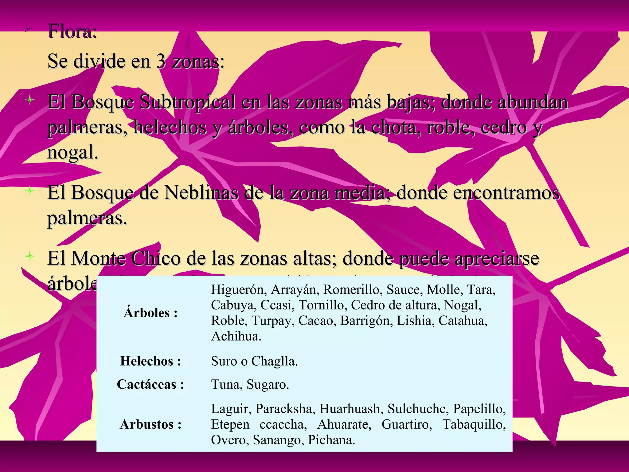    Flora:
    Se divide en 3 zonas:
   El Bosque Subtropical en las zonas más bajas; donde abundan
    palmeras, helechos y árboles, como la chota, roble, cedro y
    nogal.
   El Bosque de Neblinas de la zona media; donde encontramos
    palmeras.
   El Monte Chico de las zonas altas; donde puede apreciarse
    árboles de gran altura, y también,Romerillo, Sauce, Molle, Tara,
                        Higuerón, Arrayán, palmeras y helechos.
                           Cabuya, Ccasi, Tornillo, Cedro de altura, Nogal,
              Árboles :
                           Roble, Turpay, Cacao, Barrigón, Lishia, Catahua,
                           Achihua.
             Helechos :    Suro o Chaglla.
             Cactáceas :   Tuna, Sugaro.
                           Laguir, Paracksha, Huarhuash, Sulchuche, Papelillo,
             Arbustos :    Etepen ccaccha, Ahuarate, Guartiro, Tabaquillo,
                           Overo, Sanango, Pichana.
 