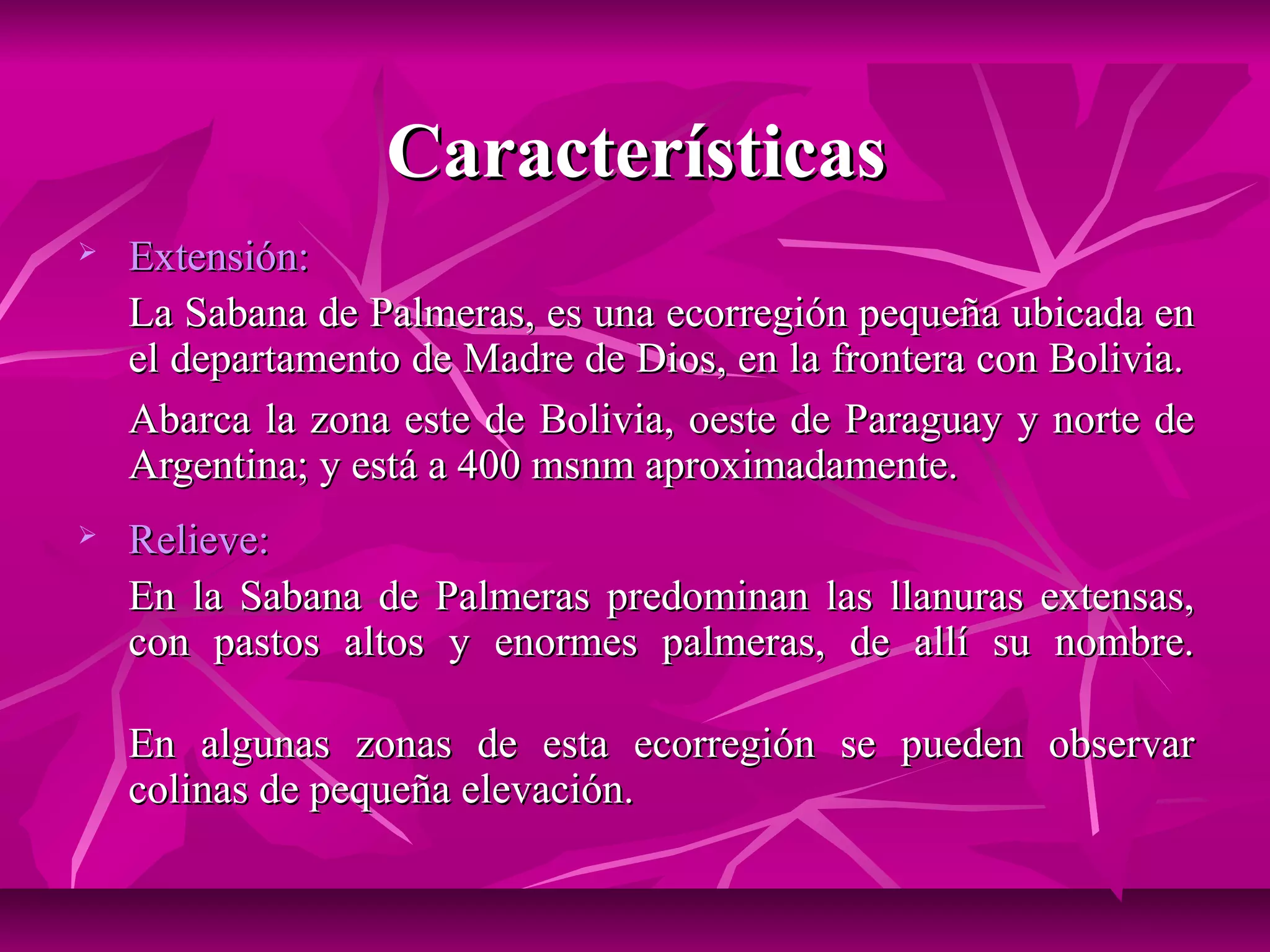 Características
   Extensión:
    La Sabana de Palmeras, es una ecorregión pequeña ubicada en
    el departamento de Madre de Dios, en la frontera con Bolivia.
    Abarca la zona este de Bolivia, oeste de Paraguay y norte de
    Argentina; y está a 400 msnm aproximadamente.
   Relieve:
    En la Sabana de Palmeras predominan las llanuras extensas,
    con pastos altos y enormes palmeras, de allí su nombre.

    En algunas zonas de esta ecorregión se pueden observar
    colinas de pequeña elevación.
 