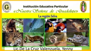 La región Selva
Lic.De La Cruz Valenzuela, Yenny
 