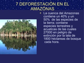 7 DEFORESTACIÓN EN EL AMAZÓNAS La cuenca del Amazonas contiene un 40% y un 50%  de las especies de la tierra; contiene especies terrestres y acuaticas de las cuales 27000 en peligro de extinción por la tala de 1800 héctareas de bosque  cada hora. 