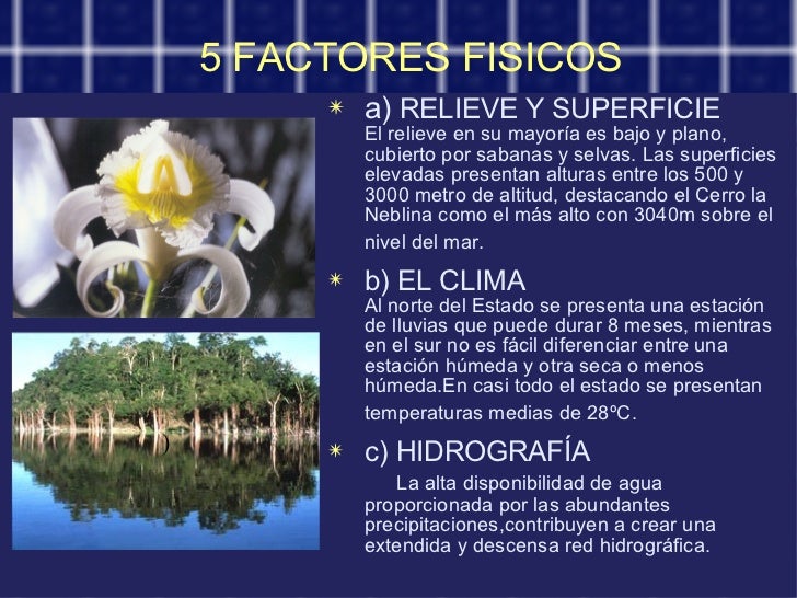 Selva Amazónica