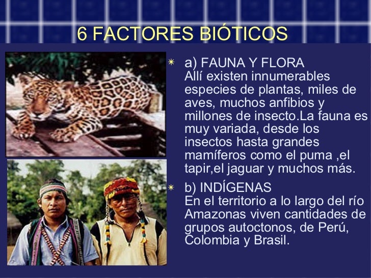 Selva Amazónica