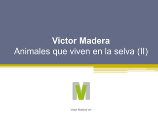 Victor Madera
Animales que viven en la selva (II)
Victor Madera Vet
 