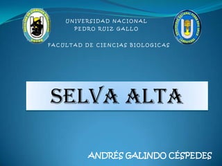 UNIVERSIDAD NACIONAL
      PEDRO RUIZ GALLO


FACULTAD DE CIENCIAS BIOLOGICAS




Selva Alta

          ANDRÉS GALINDO CÉSPEDES
 