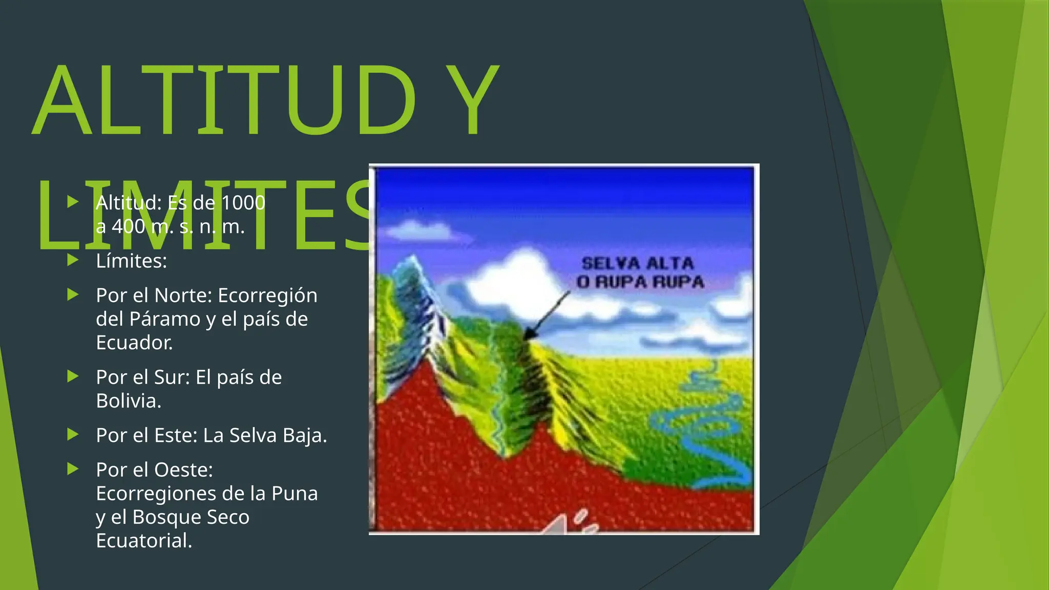 Selva Alta o Rupa Rupa.pptx- exposición | PPTX