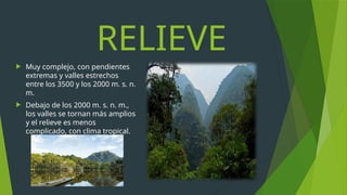 Selva Alta o Rupa Rupa.pptx- exposición | PPTX