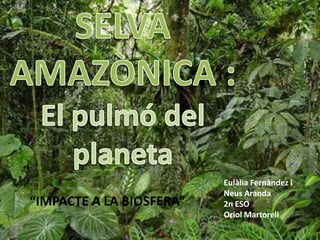 SELVA AMAZÒNICA : El pulmó del planeta Eulàlia Fernández i Neus Aranda 2n ESO Oriol Martorell “IMPACTE A LA BIOSFERA” 