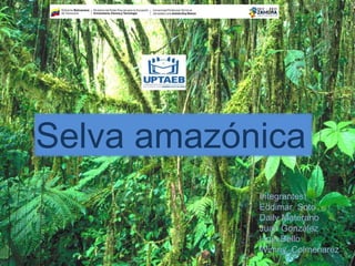 Selva amazónica
Integrantes:
Eddimar Soto
Daily Materano
Juan González
Ligia Bello
Wimny Colmenarez
 