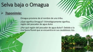 Selva baja o Omagua
Omagua proviene de el nombre de una tribu.
¿Qué significa Omagua?: Etimológicamente significa,
región del pescador de agua dulce
¿Por qué región del pescador de agua dulce?: Debido a la
rica fauna fluvial que se encuentra en sus caudalosos ríos.
 Toponimia:
 
