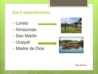 Sus 5 departamentos:
 Loreto
 Amazonas
 San Martin
 Ucayali
 Madre de Dios
Selva del Peru
3
 
