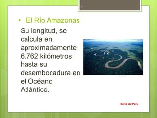 • El Río Amazonas
Su longitud, se
calcula en
aproximadamente
6.762 kilómetros
hasta su
desembocadura en
el Océano
Atlántico.
Selva del Peru
7
 