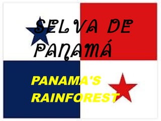 PANAMA'S
RAINFOREST
SELVA DE
PANAMÁ
 