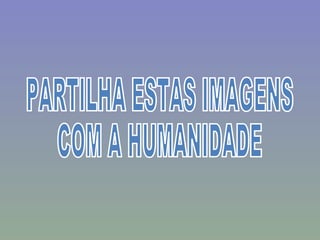 PARTILHA ESTAS IMAGENS  COM A HUMANIDADE 