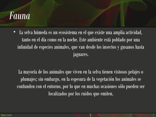 Fauna
 • La selva húmeda es un ecosistema en el que existe una amplia actividad,
      tanto en el día como en la noche. Este ambiente está poblado por una
   infinidad de especies animales, que van desde los insectos y gusanos hasta
                                    jaguares.

     La mayoría de los animales que viven en la selva tienen vistosos pelajes o
      plumajes; sin embargo, en la espesura de la vegetación los animales se
    confunden con el entorno, por lo que en muchas ocasiones sólo pueden ser
                      localizados por los ruidos que emiten.
 