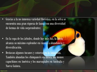 • Gracias a la no inmensa variedad florística, en la selva se
  encuentra una gran riqueza de fauna con una diversidad
  de formas de vida sorprendentes:

• En la copa de los árboles, donde hay más luz, la fauna
  alcanza su máximo esplendor en cuanto a abundancia y
  diversificación.
• Destacan algunos tucanes y cotorras en la Amazonia.
  También abundan los chimpancés en África, los monos
  capuchinos en América y los marsupiales en Australia y
  Nueva Guinea.
 