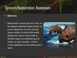 Aprovechamientos humanos
• Habitación

• Históricamente, la mayor parte de las selvas, no
  han albergado poblaciones humanas densas. Los
  recursos alimenticios en la selva están muy
  dispersos debido a la elevada biodiversidad;
  abundan sobre todo en el dosel, donde su
  obtención requiere un considerable gasto de
  energía. Los suelos son pobres, y la lluvia
  erosiona rápidamente los claros abiertos para el
  cultivo.
 