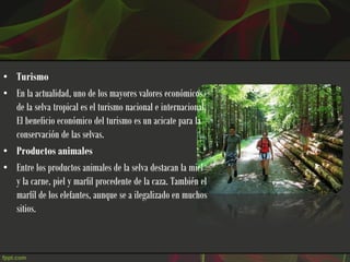 • Turismo
• En la actualidad, uno de los mayores valores económicos
  de la selva tropical es el turismo nacional e internacional.
  El beneficio económico del turismo es un acicate para la
  conservación de las selvas.
• Productos animales
• Entre los productos animales de la selva destacan la miel
  y la carne, piel y marfil procedente de la caza. También el
  marfíl de los elefantes, aunque se a ilegalizado en muchos
  sitios.
 