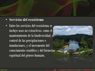 • Servicios del ecosistema
• Entre los servicios del ecosistema se
  incluye usos no extractivos, como el
  mantenimiento de la biodiversidad, el
  control de las precipitaciones e
  inundaciones, y el incremento del
  conocimiento científico y del bienestar
  espiritual del género humano.
 