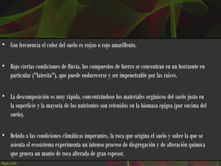 • Con frecuencia el color del suelo es rojizo o rojo amarillento.

• Bajo ciertas condiciones de lluvia, los compuestos de hierro se concentran en un horizonte en
  particular ("laterita"), que puede endurecerse y ser impenetrable por las raíces.

• La descomposición es muy rápida, concentrándose los materiales orgánicos del suelo justo en
  la superficie y la mayoría de los nutrientes son retenidos en la biomasa epígea (por encima del
  suelo).

• Debido a las condiciones climáticas imperantes, la roca que origina el suelo y sobre la que se
  asienta el ecosistema experimenta un intenso proceso de disgregación y de alteración química
  que genera un manto de roca alterada de gran espesor.
 