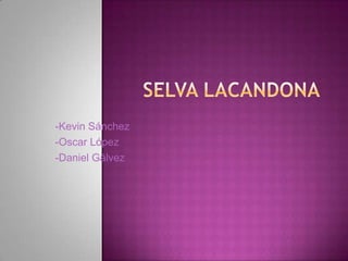 -Kevin Sánchez
-Oscar López
-Daniel Gálvez
 
