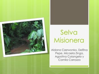 Selva 
Misionera 
Aldana Czerwonko, Delfina 
Pepe, Micaela Zinga, 
Agostina Colangelo y 
Camila Carrozza 
 