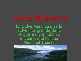 Selva Misionera 
La Selva Misionera es la 
selva mas grande de la 
Argentina y en ella se 
encuentra el Parque 
Nacional Iguazú 
 