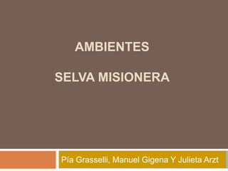 AMBIENTES
SELVA MISIONERA
Pía Grasselli, Manuel Gigena Y Julieta Arzt
 
