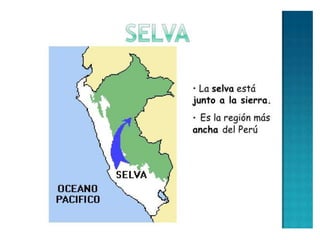 Selva peruana