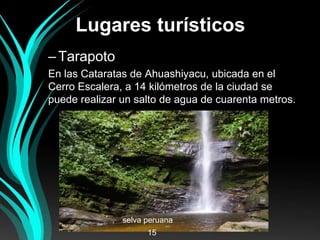 Lugares turísticos
–Tarapoto
En las Cataratas de Ahuashiyacu, ubicada en el
Cerro Escalera, a 14 kilómetros de la ciudad se
puede realizar un salto de agua de cuarenta metros.
selva peruana
15
 