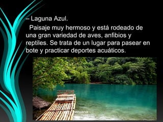 – Laguna Azul.
Paisaje muy hermoso y está rodeado de
una gran variedad de aves, anfibios y
reptiles. Se trata de un lugar para pasear en
bote y practicar deportes acuáticos.
selva peruana
16
 