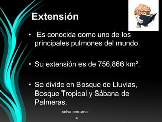 Extensión
• Es conocida como uno de los
principales pulmones del mundo.
• Su extensión es de 756,866 km².
• Se divide en Bosque de Lluvias,
Bosque Tropical y Sábana de
Palmeras.
selva peruana
4
 