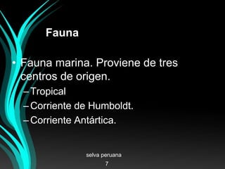 Fauna
• Fauna marina. Proviene de tres
centros de origen.
–Tropical
–Corriente de Humboldt.
–Corriente Antártica.
selva peruana
7
 