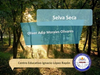 Selva Seca




Centro Educativo Ignacio López Rayón
 
