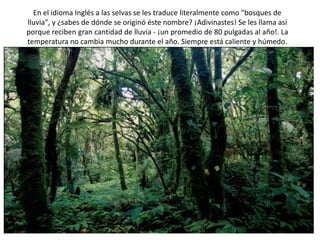 En el idioma Inglés a las selvas se les traduce literalmente como "bosques de
lluvia", y ¿sabes de dónde se originó éste n...