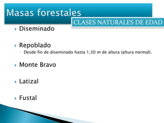 CLASES NATURALES DE EDAD 
 Diseminado 
 Repoblado 
◦ Desde fin de diseminado hasta 1,30 m de altura (altura normal). 
 Monte Bravo 
 Latizal 
 Fustal 
 