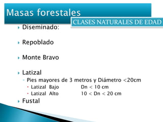 CLASES NATURALES DE EDAD 
 Diseminado: 
 Repoblado 
 Monte Bravo 
 Latizal 
◦ Pies mayores de 3 metros y Diámetro <20cm 
 Latizal Bajo Dn < 10 cm 
 Latizal Alto 10 < Dn < 20 cm 
 Fustal 
 