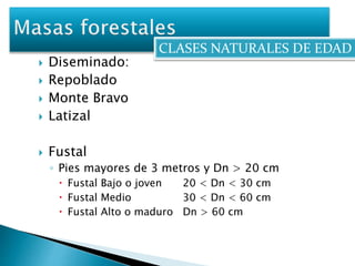 CLASES NATURALES DE EDAD 
 Diseminado: 
 Repoblado 
 Monte Bravo 
 Latizal 
 Fustal 
◦ Pies mayores de 3 metros y Dn > 20 cm 
 Fustal Bajo o joven 20 < Dn < 30 cm 
 Fustal Medio 30 < Dn < 60 cm 
 Fustal Alto o maduro Dn > 60 cm 
 