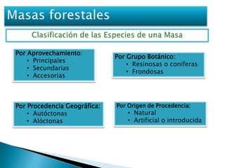 Por Aprovechamiento: 
• Principales 
• Secundarias 
• Accesorias 
Por Grupo Botánico: 
• Resinosas o coníferas 
• Frondosas 
Por Procedencia Geográfica: 
• Autóctonas 
• Alóctonas 
Por Origen de Procedencia: 
• Natural 
• Artificial o introducida 
 
