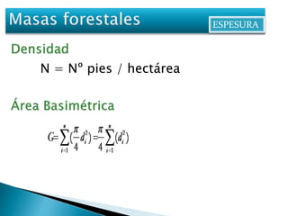 ESPESURA 
N = Nº pies / hectárea 
 