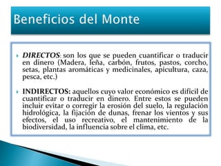  DIRECTOS: son los que se pueden cuantificar o traducir 
en dinero (Madera, leña, carbón, frutos, pastos, corcho, 
setas, plantas aromáticas y medicinales, apicultura, caza, 
pesca, etc.) 
 INDIRECTOS: aquellos cuyo valor económico es difícil de 
cuantificar o traducir en dinero. Entre estos se pueden 
incluir evitar o corregir la erosión del suelo, la regulación 
hidrológica, la fijación de dunas, frenar los vientos y sus 
efectos, el uso recreativo, el mantenimiento de la 
biodiversidad, la influencia sobre el clima, etc. 
 