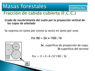 ESPESURA 
Grado de recubrimiento del suelo por la proyección vertical de 
las copas de arbolado 
Se expresa en tanto por ciento (a veces en tanto por uno) 
Fcc (%) = (Sc x 100) / St 
Sc: superficie de proyección de copa, 
St:superficie del terreno 
Fcc = (1+2+4+5)*100 / St 
St 
 