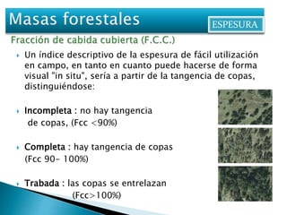 ESPESURA 
 Un índice descriptivo de la espesura de fácil utilización 
en campo, en tanto en cuanto puede hacerse de forma 
visual "in situ", sería a partir de la tangencia de copas, 
distinguiéndose: 
 Incompleta : no hay tangencia 
de copas, (Fcc <90%) 
 Completa : hay tangencia de copas 
(Fcc 90- 100%) 
 Trabada : las copas se entrelazan 
(Fcc>100%) 
 
