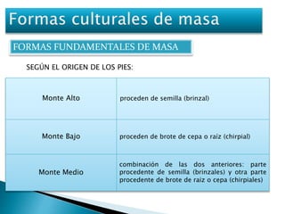 FORMAS FUNDAMENTALES DE MASA 
SEGÚN EL ORIGEN DE LOS PIES: 
Monte Alto proceden de semilla (brinzal) 
Monte Bajo proceden de brote de cepa o raíz (chirpial) 
Monte Medio 
combinación de las dos anteriores: parte 
procedente de semilla (brinzales) y otra parte 
procedente de brote de raiz o cepa (chirpiales) 
 