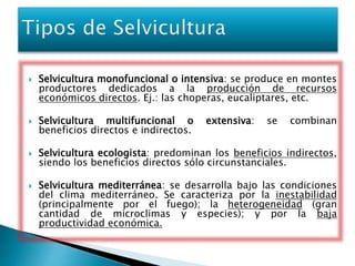  Selvicultura monofuncional o intensiva: se produce en montes 
productores dedicados a la producción de recursos 
económicos directos. Ej.: las choperas, eucaliptares, etc. 
 Selvicultura multifuncional o extensiva: se combinan 
beneficios directos e indirectos. 
 Selvicultura ecologista: predominan los beneficios indirectos, 
siendo los beneficios directos sólo circunstanciales. 
 Selvicultura mediterránea: se desarrolla bajo las condiciones 
del clima mediterráneo. Se caracteriza por la inestabilidad 
(principalmente por el fuego); la heterogeneidad (gran 
cantidad de microclimas y especies); y por la baja 
productividad económica. 
 