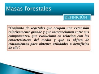 DEFINICIÓN 
“Conjunto de vegetales que ocupan una extensión 
relativamente grande y que interaccionan entre sus 
componentes, que evoluciona en relación con las 
características del medio y que es objeto de 
tratamientos para obtener utilidades o beneficios 
de ella”. 
 
