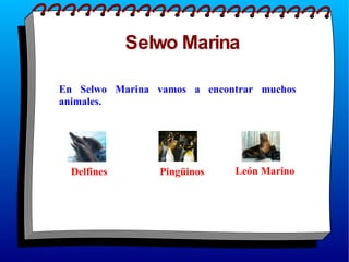 Selwo Marina En Selwo Marina vamos a encontrar muchos animales. Delfines Pingüinos León Marino 