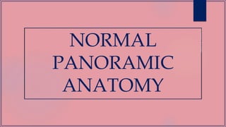 NORMAL
PANORAMIC
ANATOMY
 