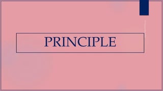 PRINCIPLE
 