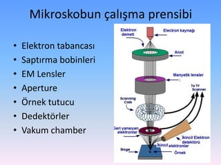 Mikroskobun çalışma prensibi
• Elektron tabancası
• Saptırma bobinleri
• EM Lensler
• Aperture
• Örnek tutucu
• Dedektörler
• Vakum chamber
 